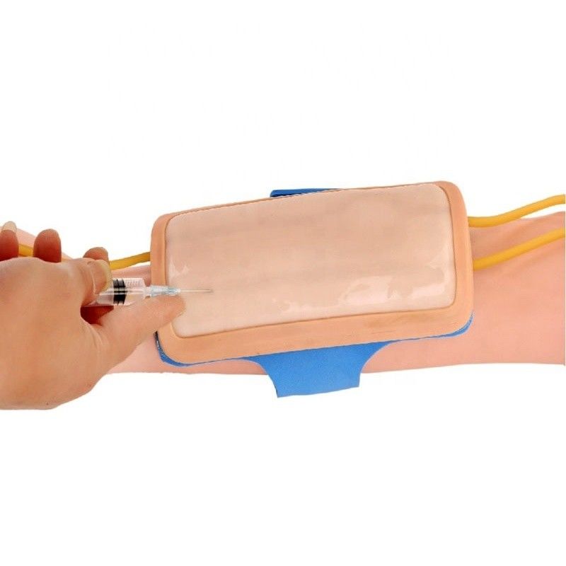 Advanced PVC Forearm Venipuncture Training Pad IV Injection Pad for Medical Science