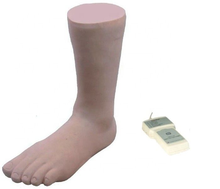 Realistic Human Simulation Manikin Ankle Joint Injection Training Model with Control Box