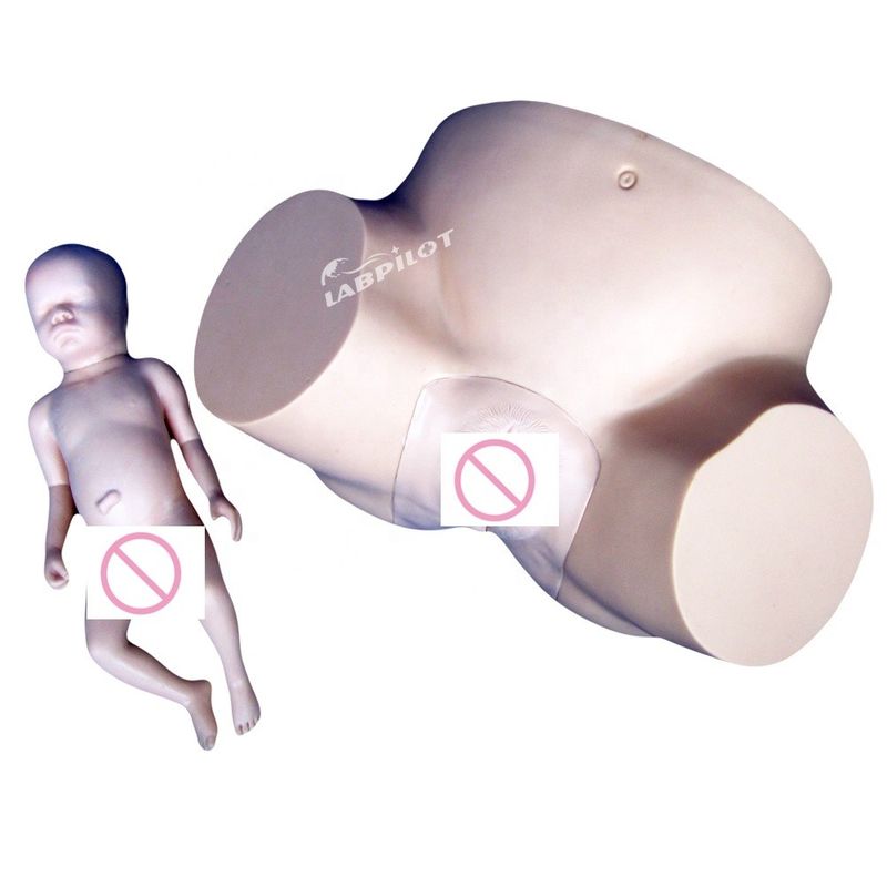 Schools Vacuum Delivery Birthing Simulator with Soft Baby Doll and Human Life Size