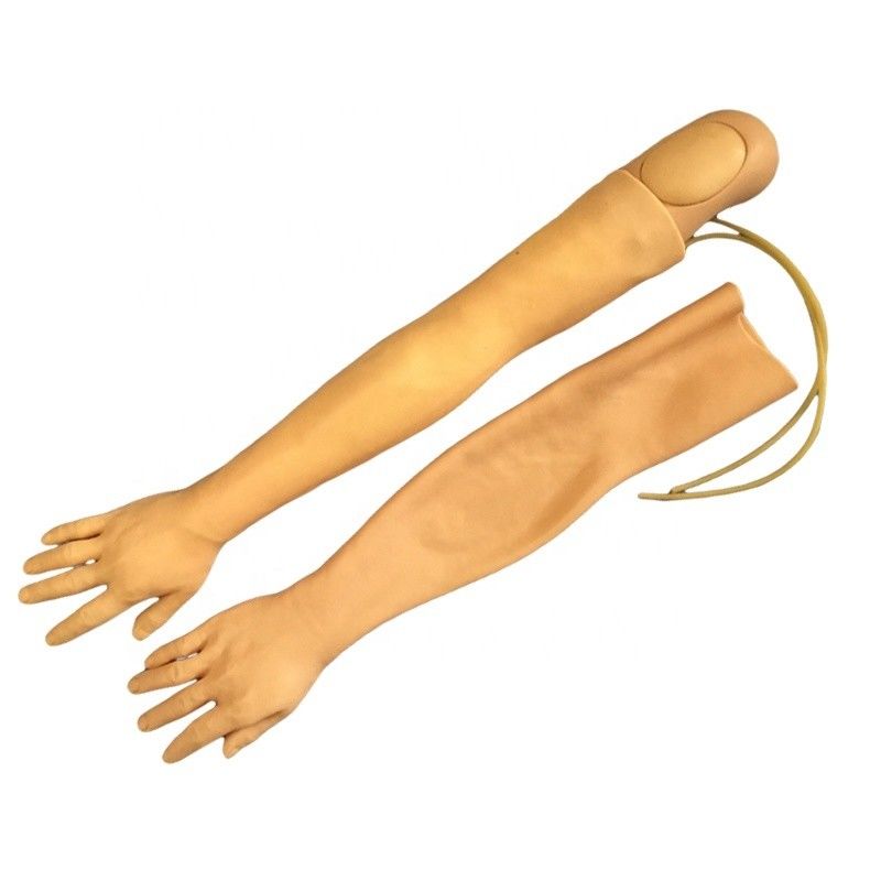 Vivid Arm Model for IV Injection Training Multi-functional Clinical Nursing Training Model