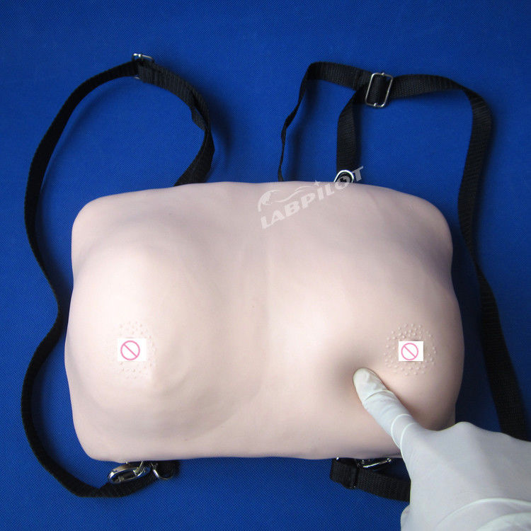 Breast Self Examination Training Manikin Realistic Skin Model for Gynecological Care