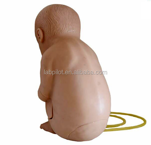Human Life Size Manikin for Pediatric Spinal Vertebral Puncture Training Practice