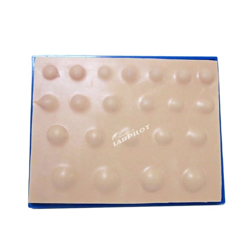 Advanced PVC Incision Model for Teaching Abscess Incision and Drainage Skills in 2023