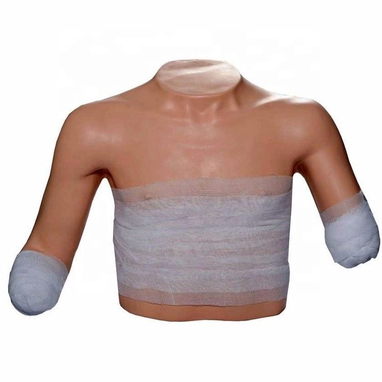 Medical Science Patients Care Training Upper-limb Torso Ampution Dummy Dressing and Bandaging Training Model