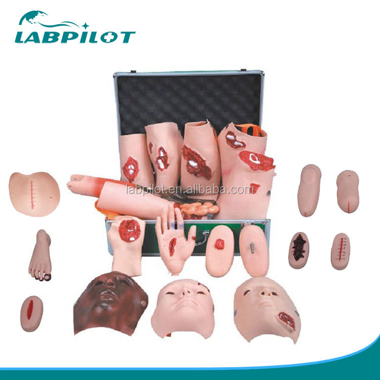 Advanced PVC Manikin The Ultimate Solution for Vivid Wound Simulation and Trauma Care