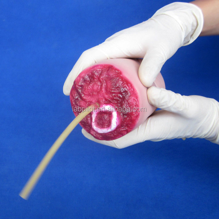 Advanced PVC Upper Limb Trauma Haemorrhage and Amputated Arm Model for Medical Science