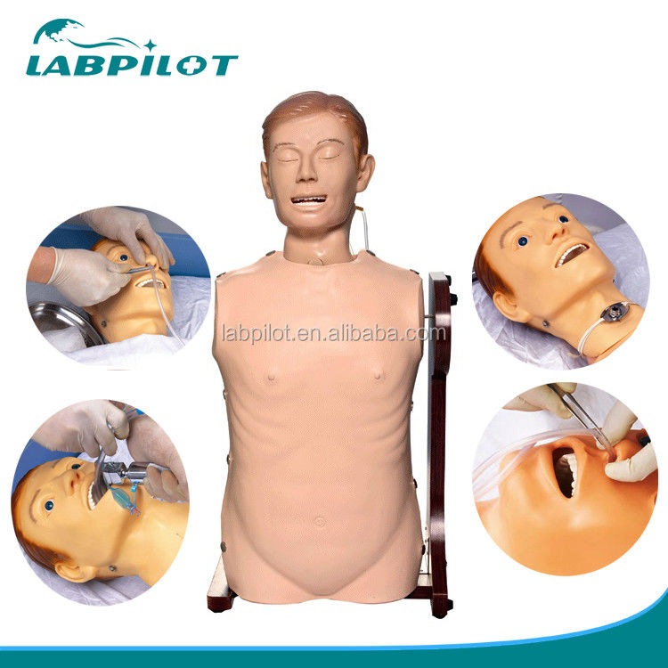 Human Life Size Nasal Feeding Mannequin for Airway Care and Gastrointestinal Practice
