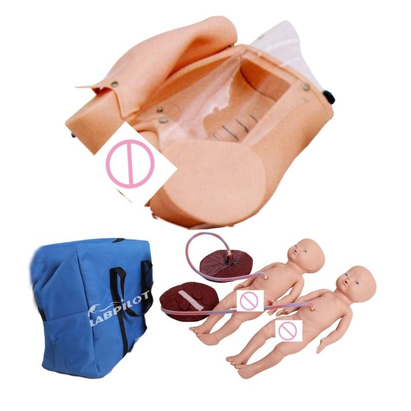 Realistic Human Life Size Pregnant Woman Model and Twins Baby Doll for Childbirth Training