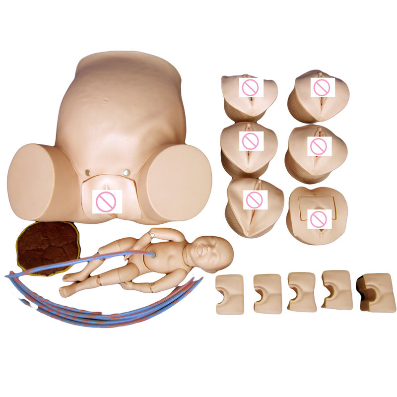 Advanced PVC Childbirth Manikin Categories for Pregnant Woman Baby Delivery Training