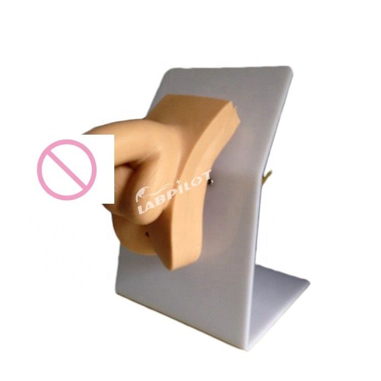 Realistic Human Manikin Economic Male Catheterization Teaching Simulator Nursing Training Model