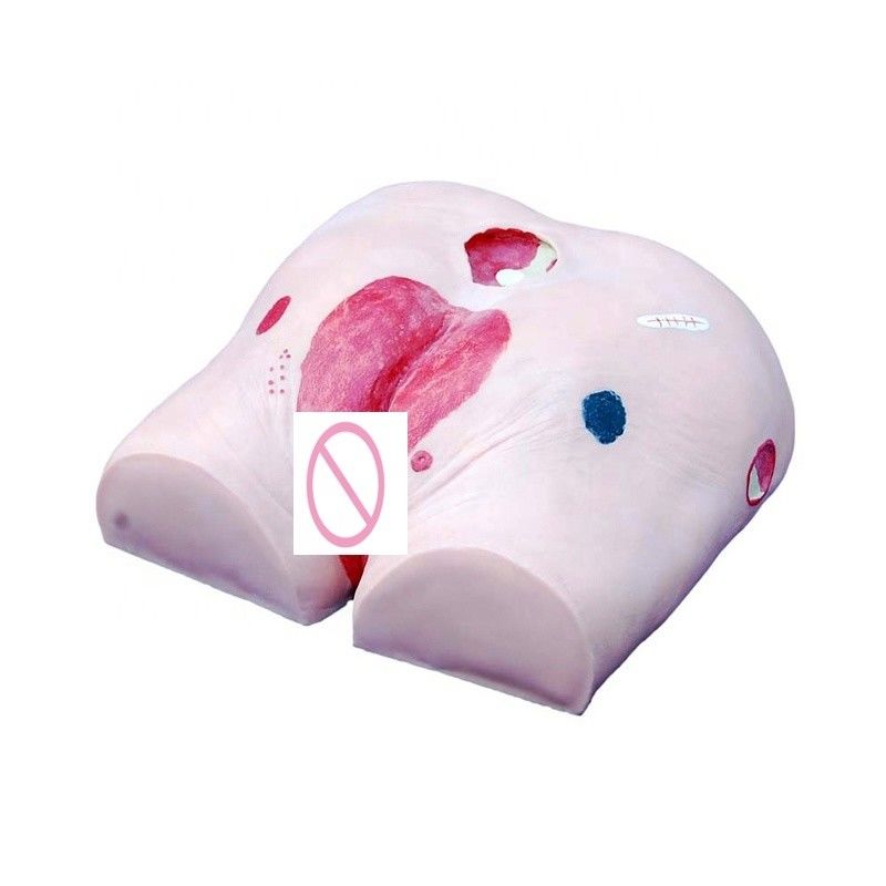 Human Model Decubitus Ulcer Care Training Simulator for Categories in Medical Science