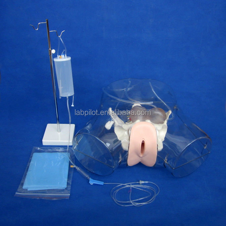 Realistic Female Pelvis Model for Dilatation and Curettage Training Simulator Tool
