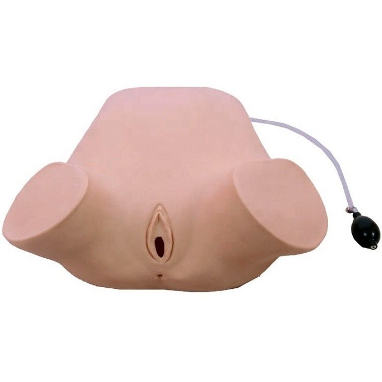 Advanced PVC Multi-functional Four Maneuvers Leopold Model Rectal and Vaginal Examination Training Manikin