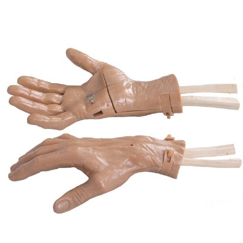 Realistic Hand Movement Hand Training Recovery Simulator with Vivid Anatomy Structure