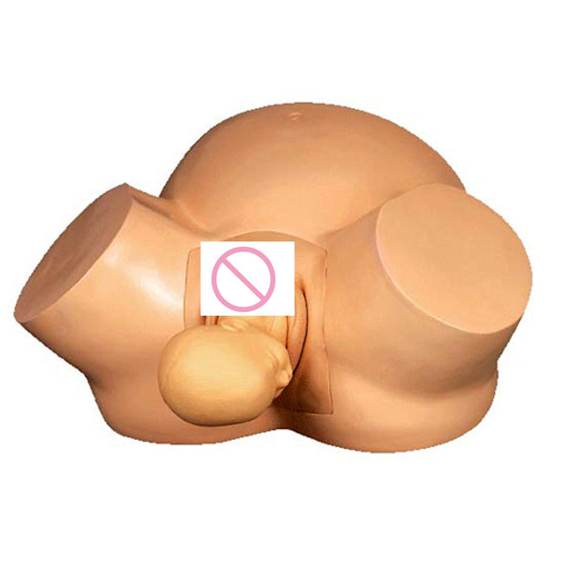 Realistic Human Life Size Pregnant Simulator for Obstetricians and Medical Education