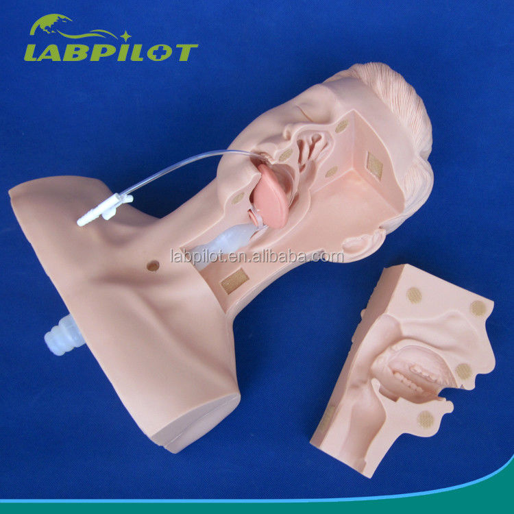 Versatile Oral and Nasal Cavity Suction Model for Medical Colleges' Clinical Training