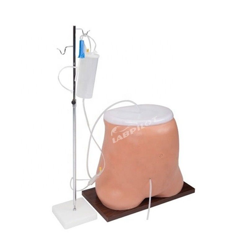 Human Life Size Peritoneal Dialysis Training Simulator Model with Advanced PVC Material