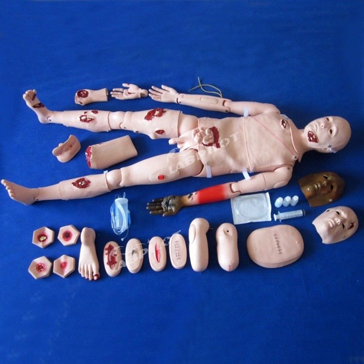 Comprehensive Nursing Mannequin for Trauma Care and Wound Management in Human Life Size