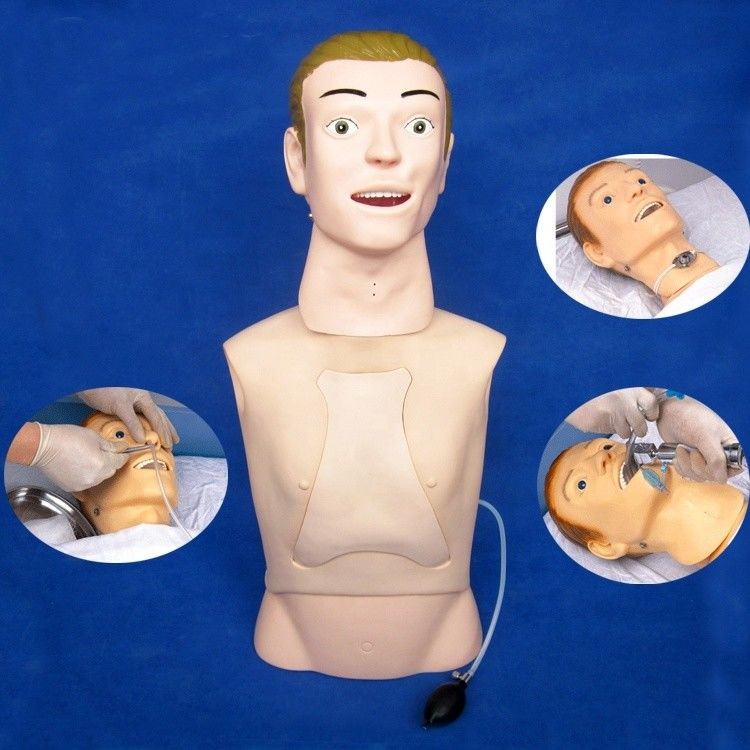 Half Body Manikin The Ultimate Teaching Model for Nasogastric Feeding Care in Hospitals