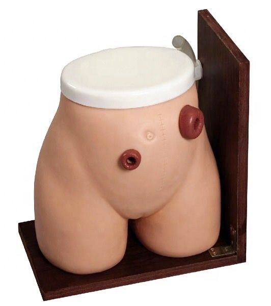 Enema Skills Teaching Manikin The Perfect Training Tool for Medical Fistula Stoma Care