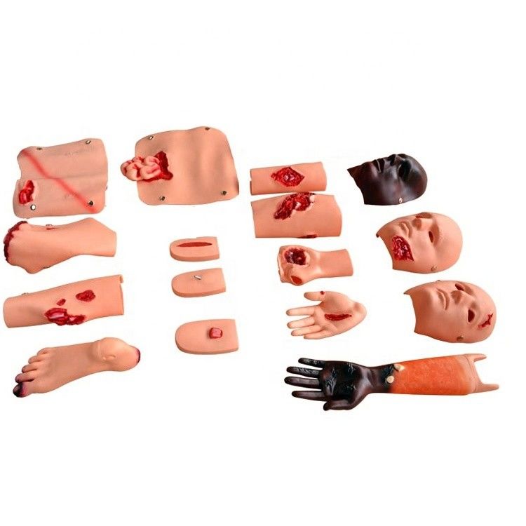 Realistic Human Simulation for Nursing Training Burn Wound Fracture and Amputation Care