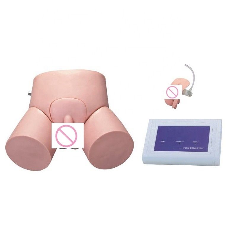 Advanced PVC Controller-operated Nursing Catheterization Manikin for Human Life Size
