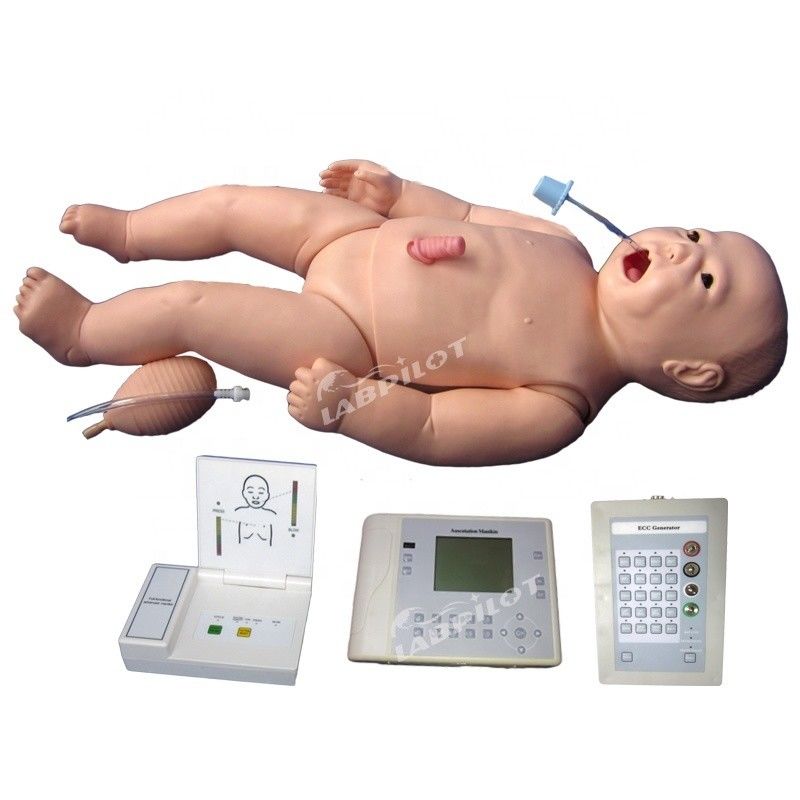 ACLS Neonatal Nursing Manikin Human Life Size Subject for Medical Science Teaching