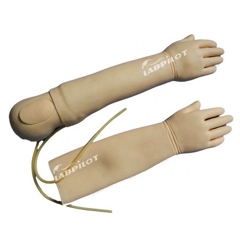 Advanced PVC Material Intravenous Infusion Training Arm Model for 4-Year-Old Children
