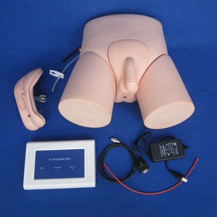 Electronic Urethral Catheterization Training Model for Male and Female Human Life Size