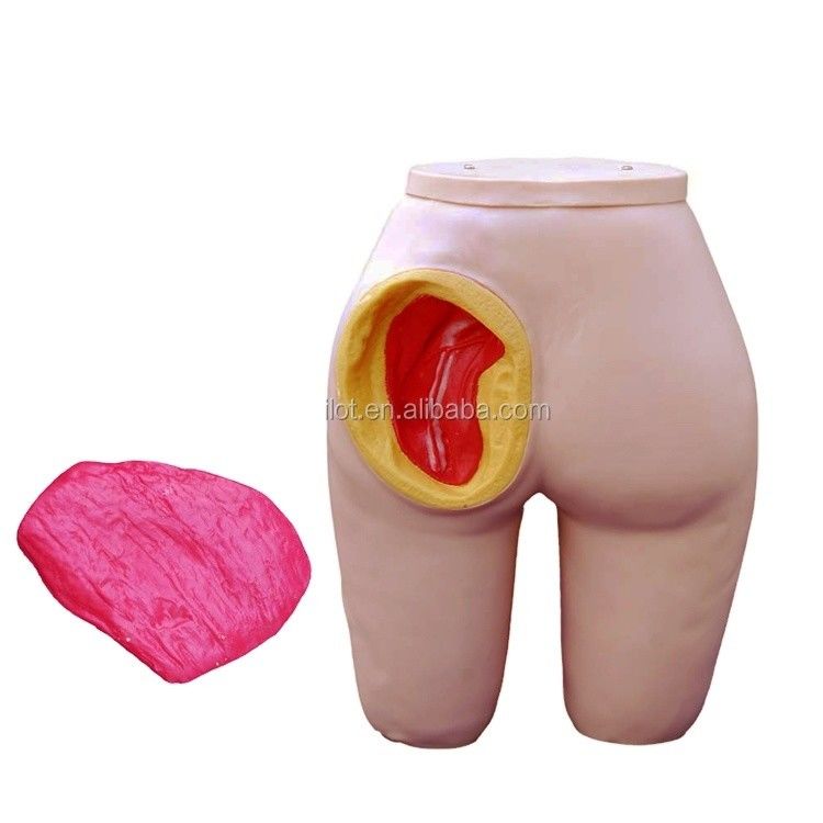 Human Life Size Gluteus Intramuscular Injection Training Model for Patients Care Demo