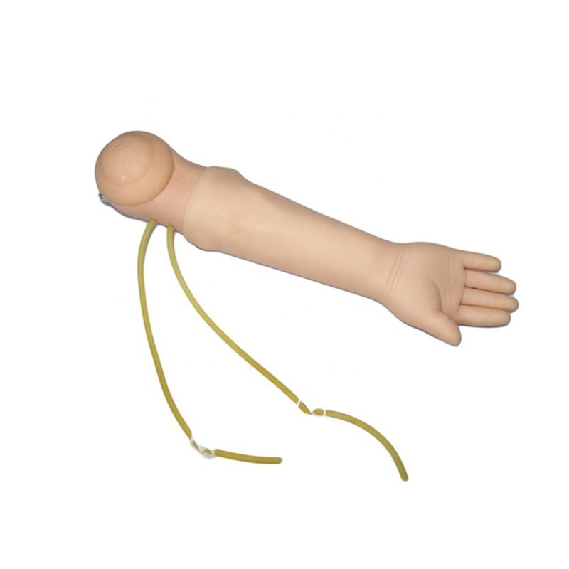 Human Life Size Manikin Portable Infant Venipuncture Training Arm Model IV Arm Injection Teaching Hand Phantom