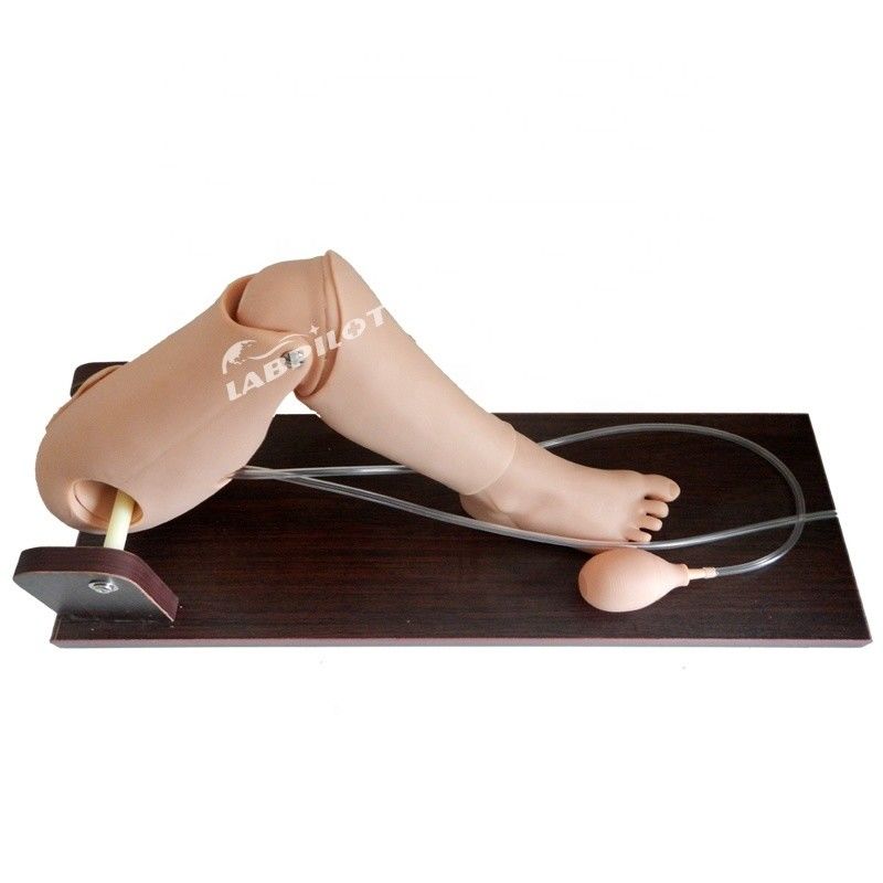 Convenient Child Bone Marrow Puncture and Femoral Venipuncture Simulator for Training